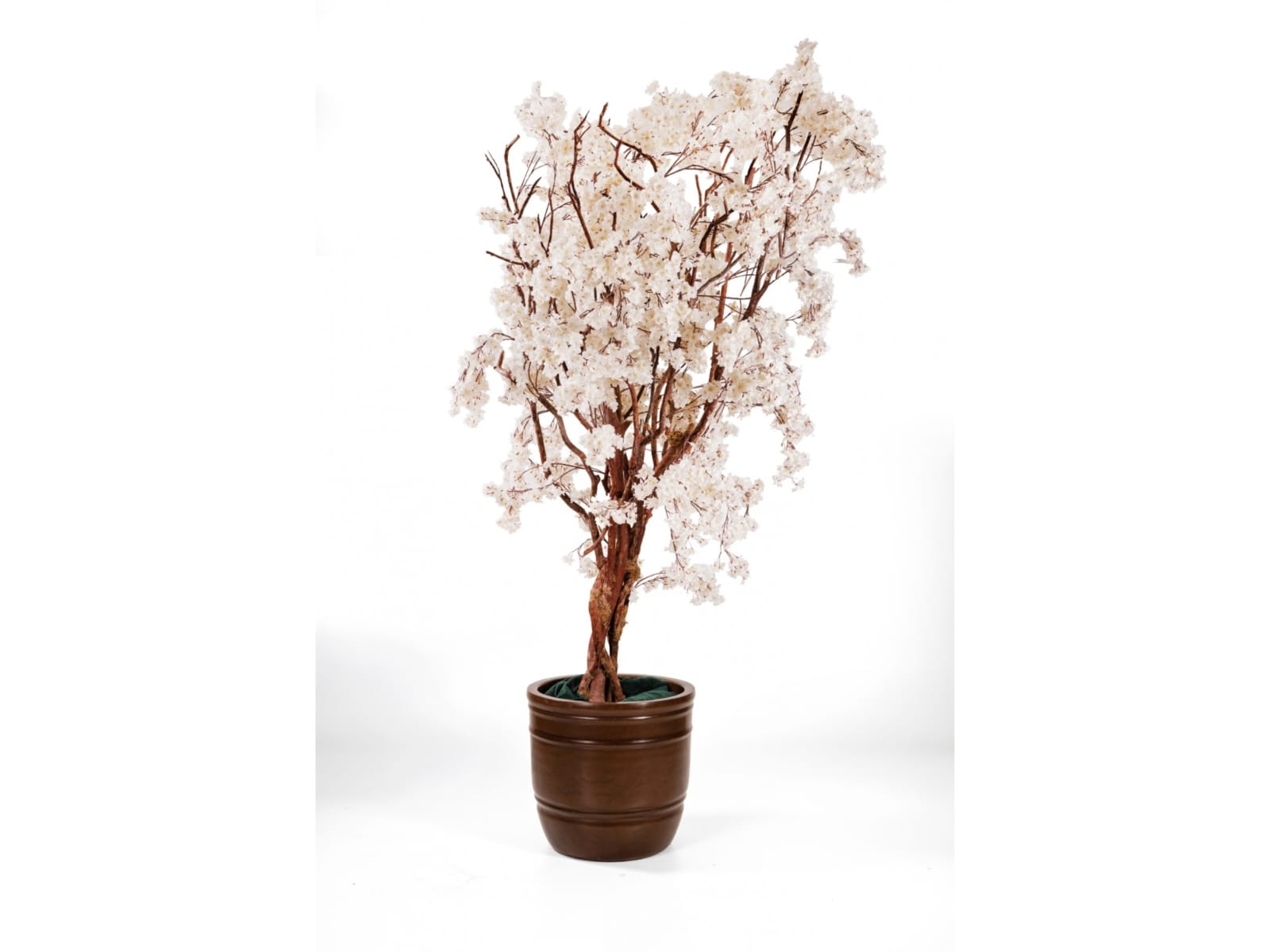 REF 4002 - &Aacute;rvore Cerejeira Branca